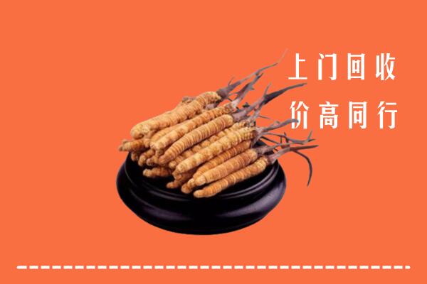 高价求购：长沙市芙蓉回收散虫草