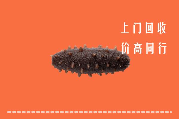 高价求购：长沙市芙蓉回收海参